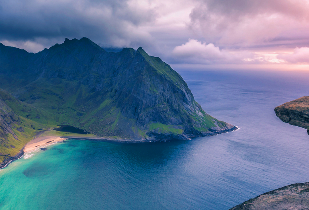 紫岚风集团官网设计